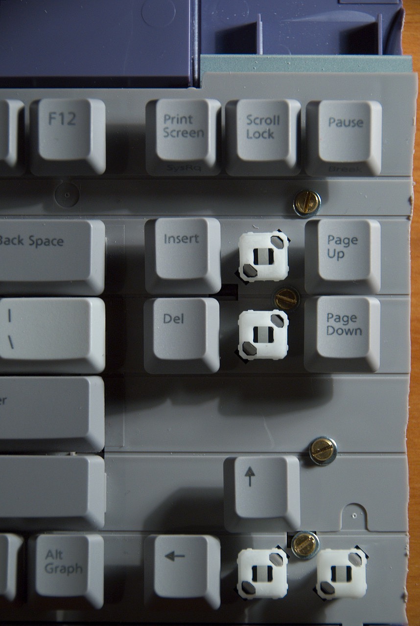 sun type 6 switch.jpg