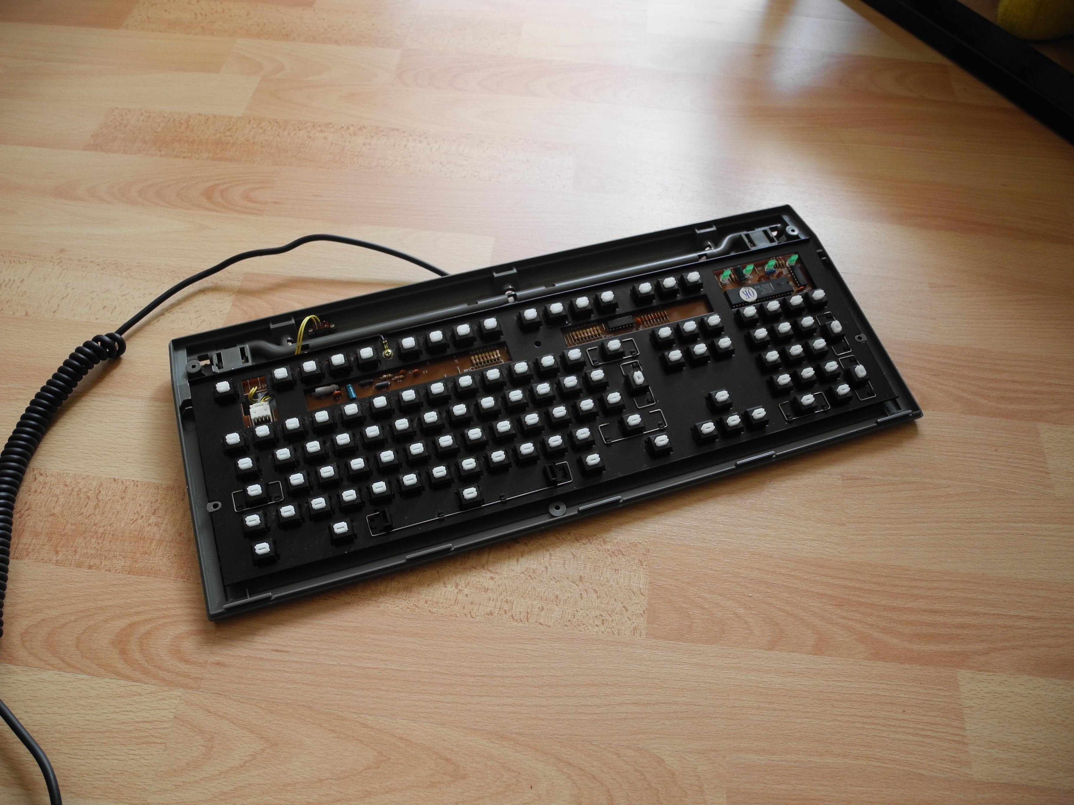 Naked 2.JPG
