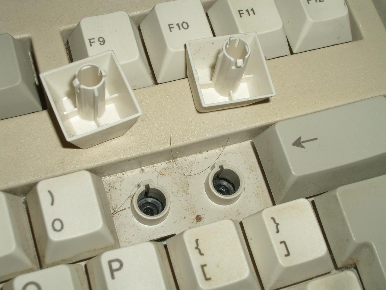 Cherry G83-6153LPQGB~02 keycaps.jpg