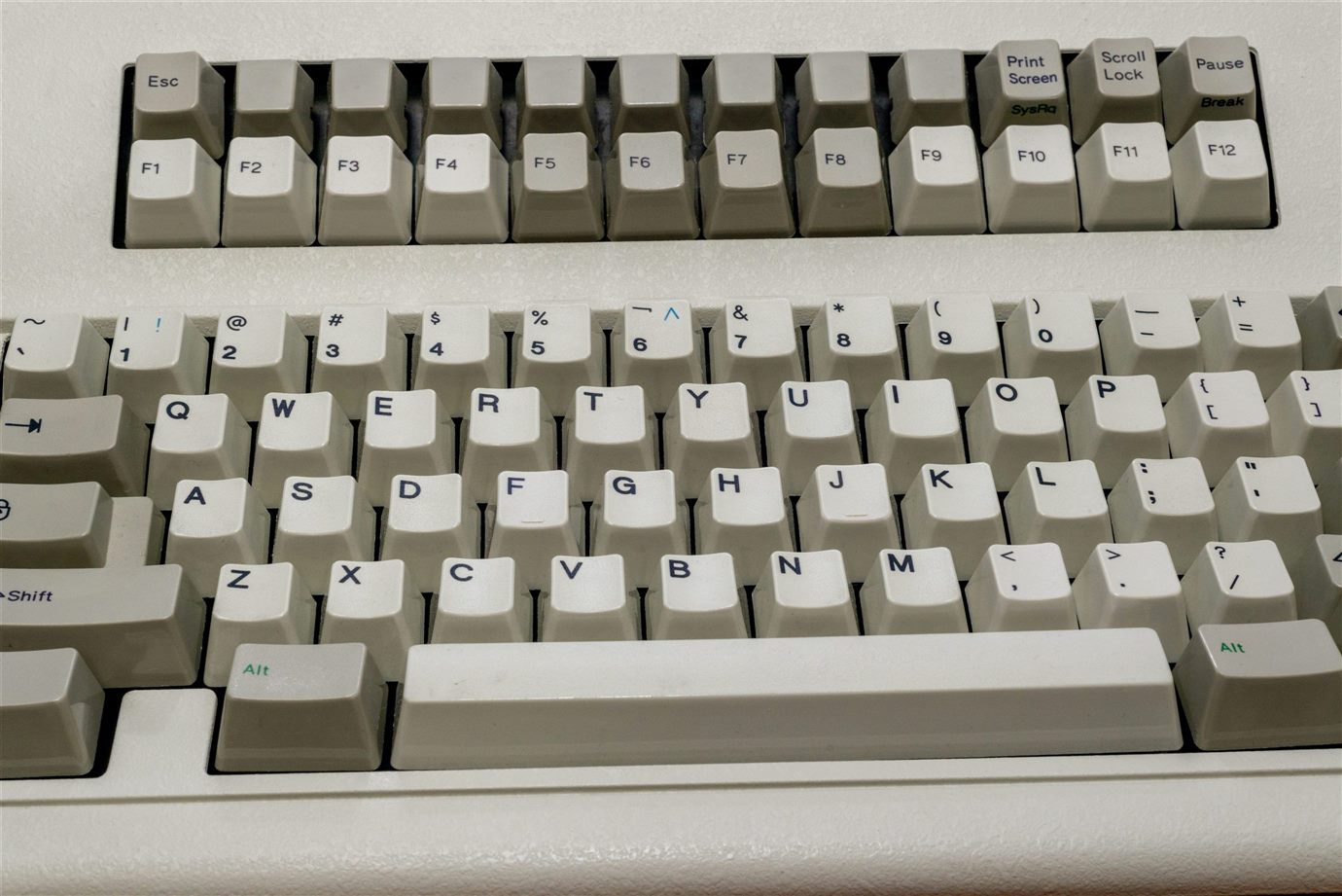 DSC_5528.jpg