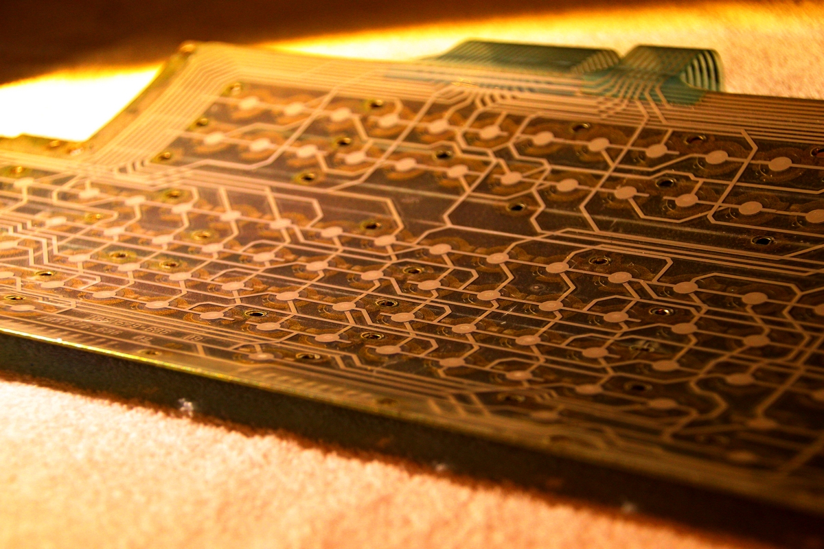 Membrane Close Up.jpg