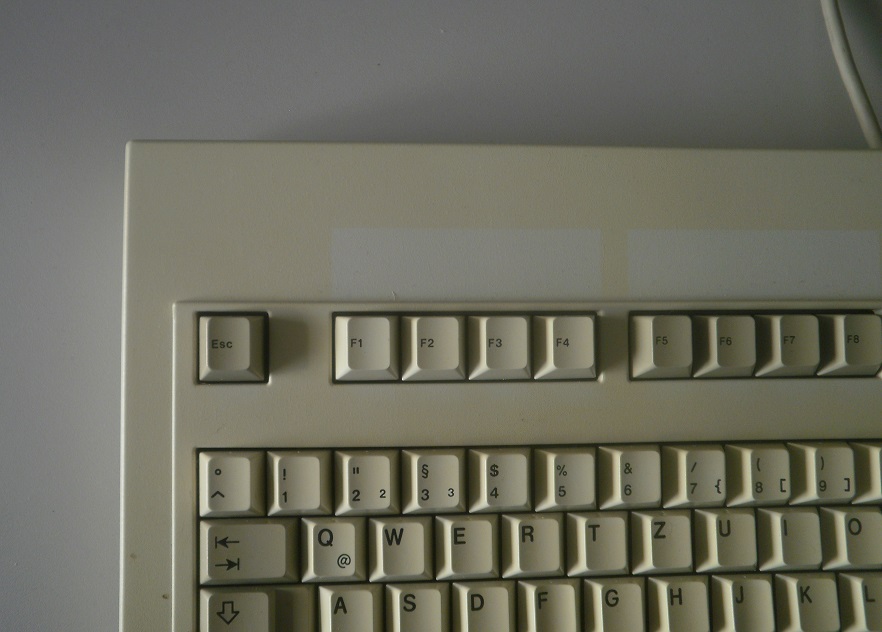 yellowed 1000.jpg