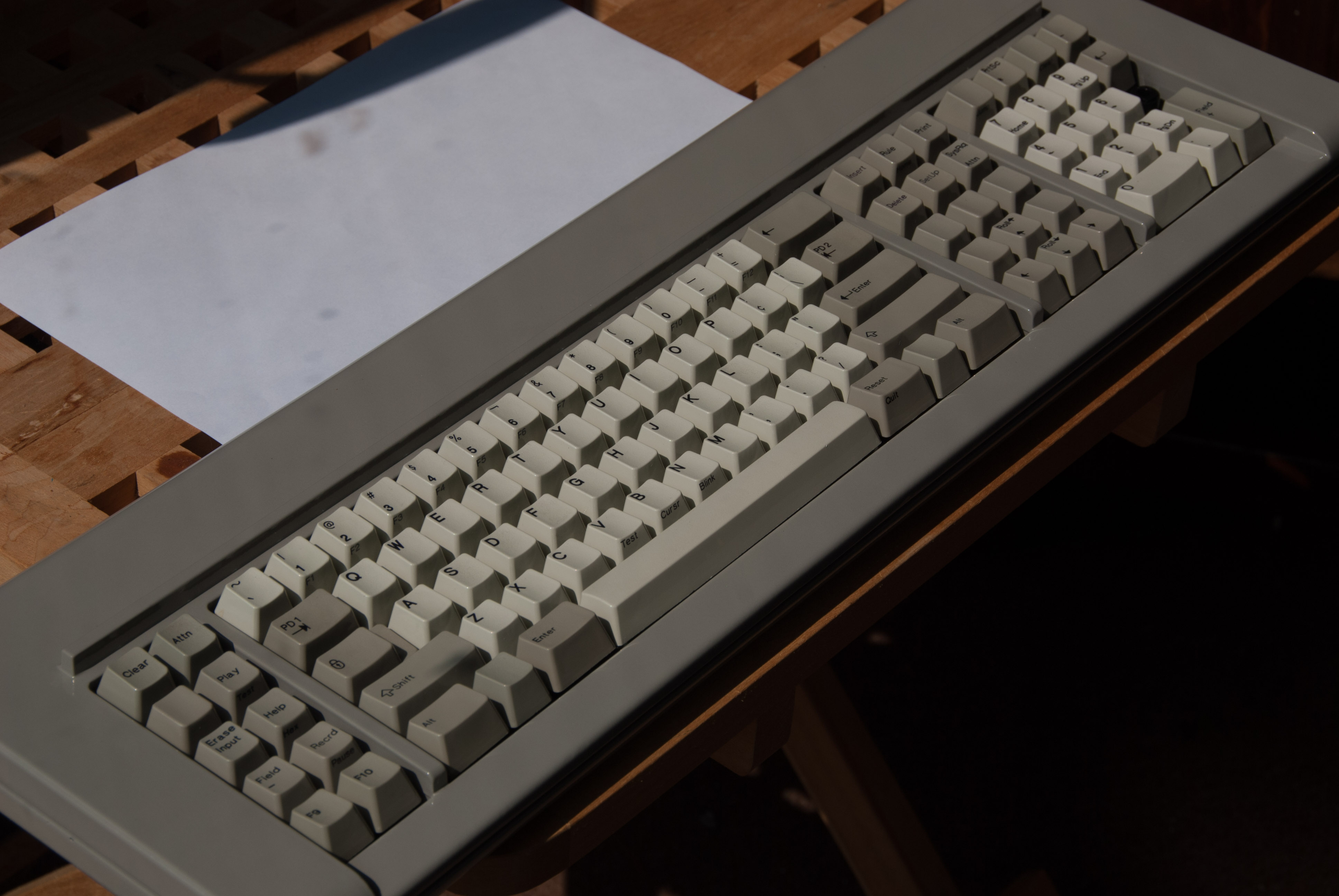 DSC_0262.jpg