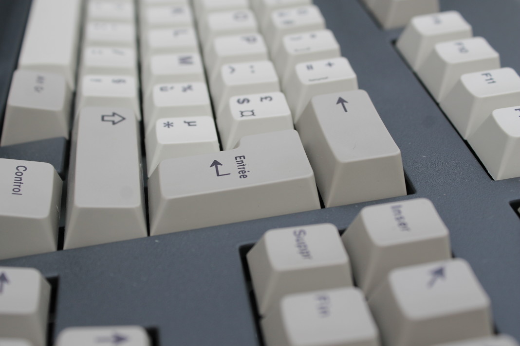 Goupil3k_detail2.JPG