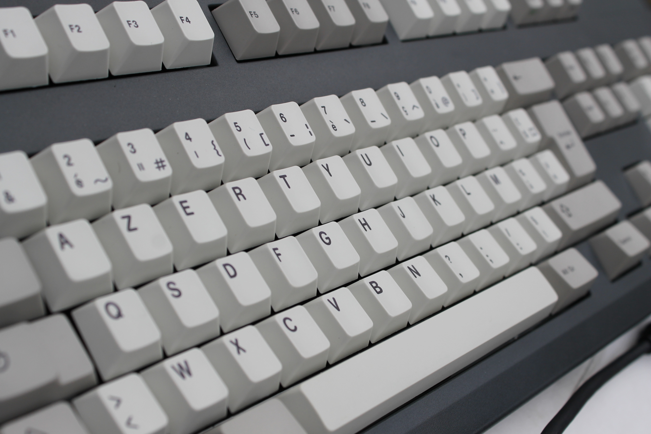 Goupil3k_detail3.JPG