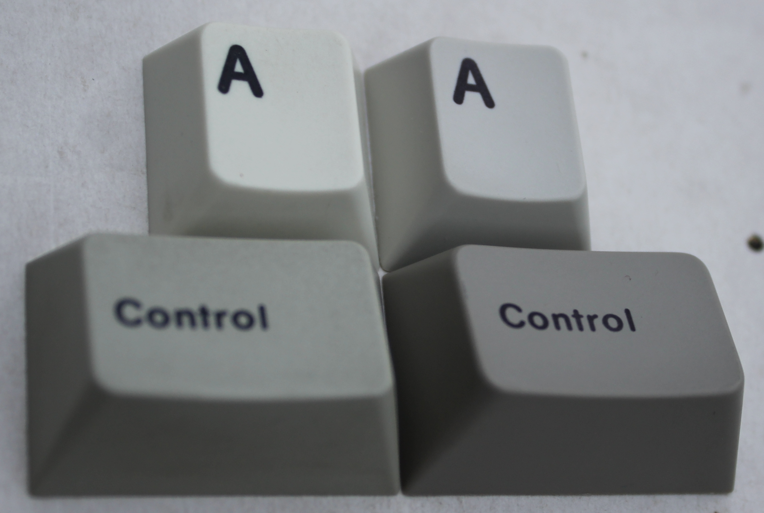 Goupil3k_caps2.JPG