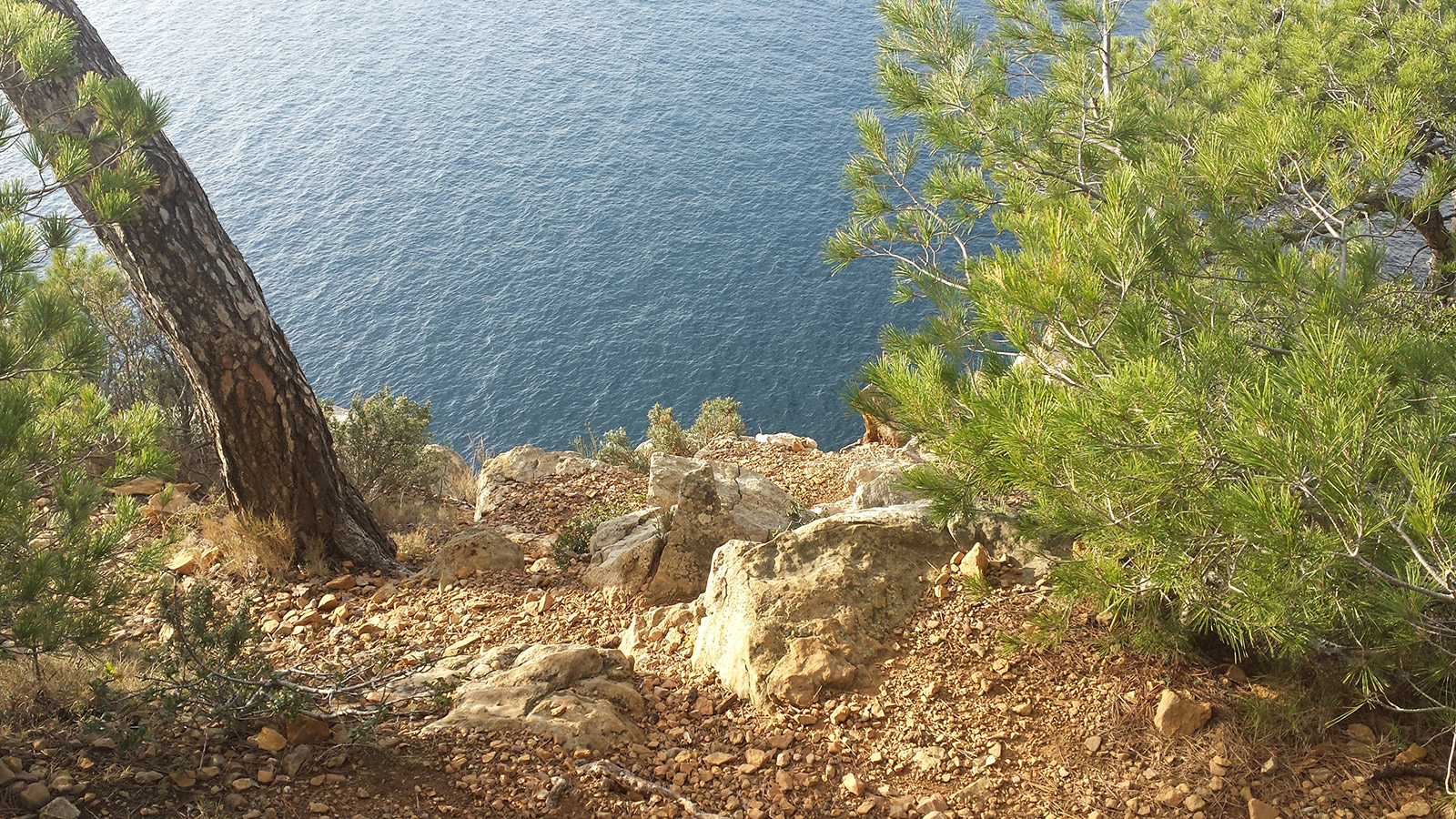 bandol2.jpg