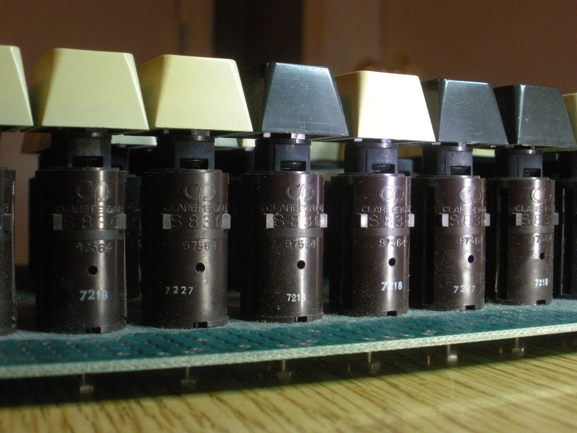 DSCN8138.jpg