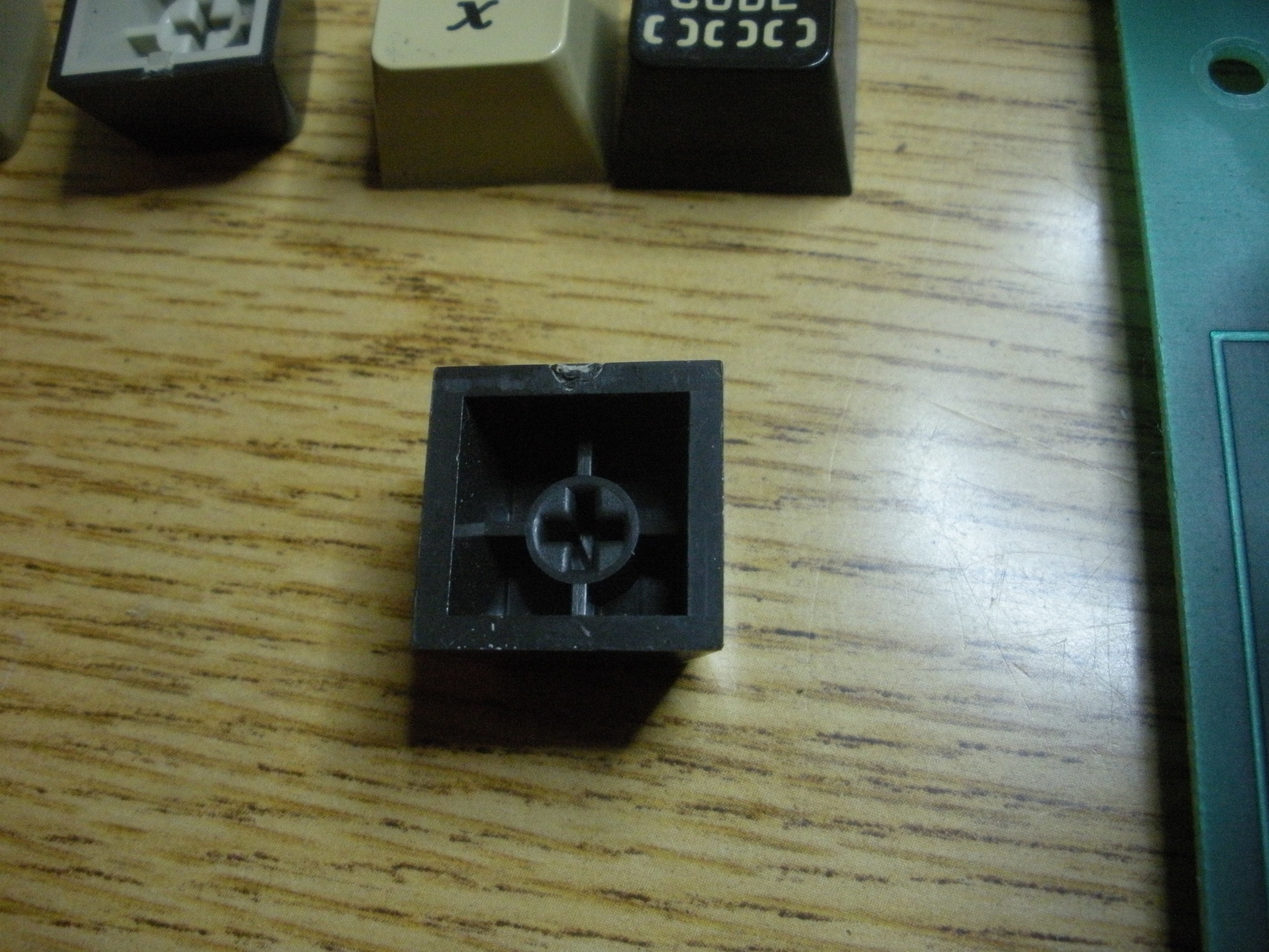 DSCN8167.jpg