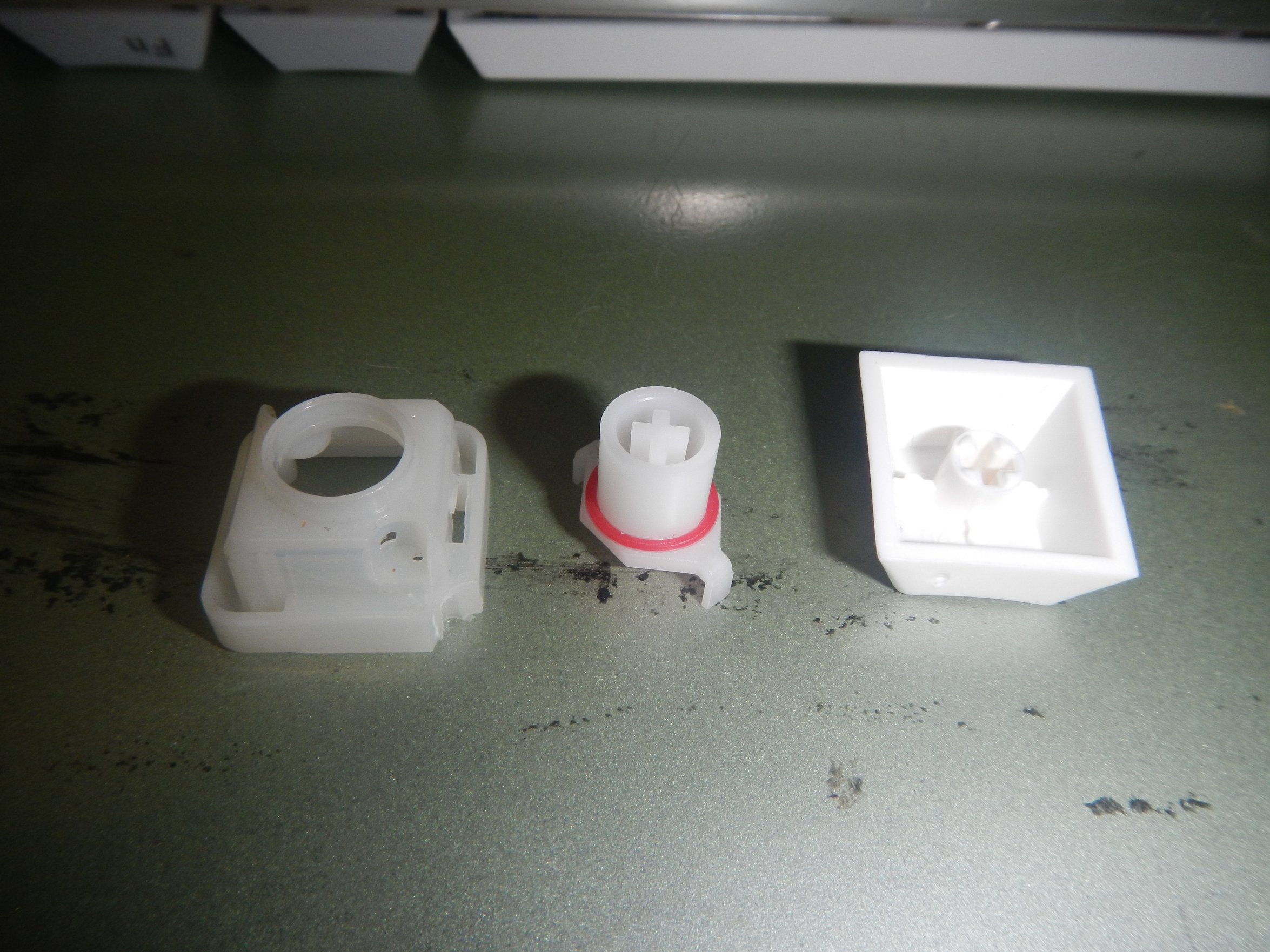 DSCN6193.JPG