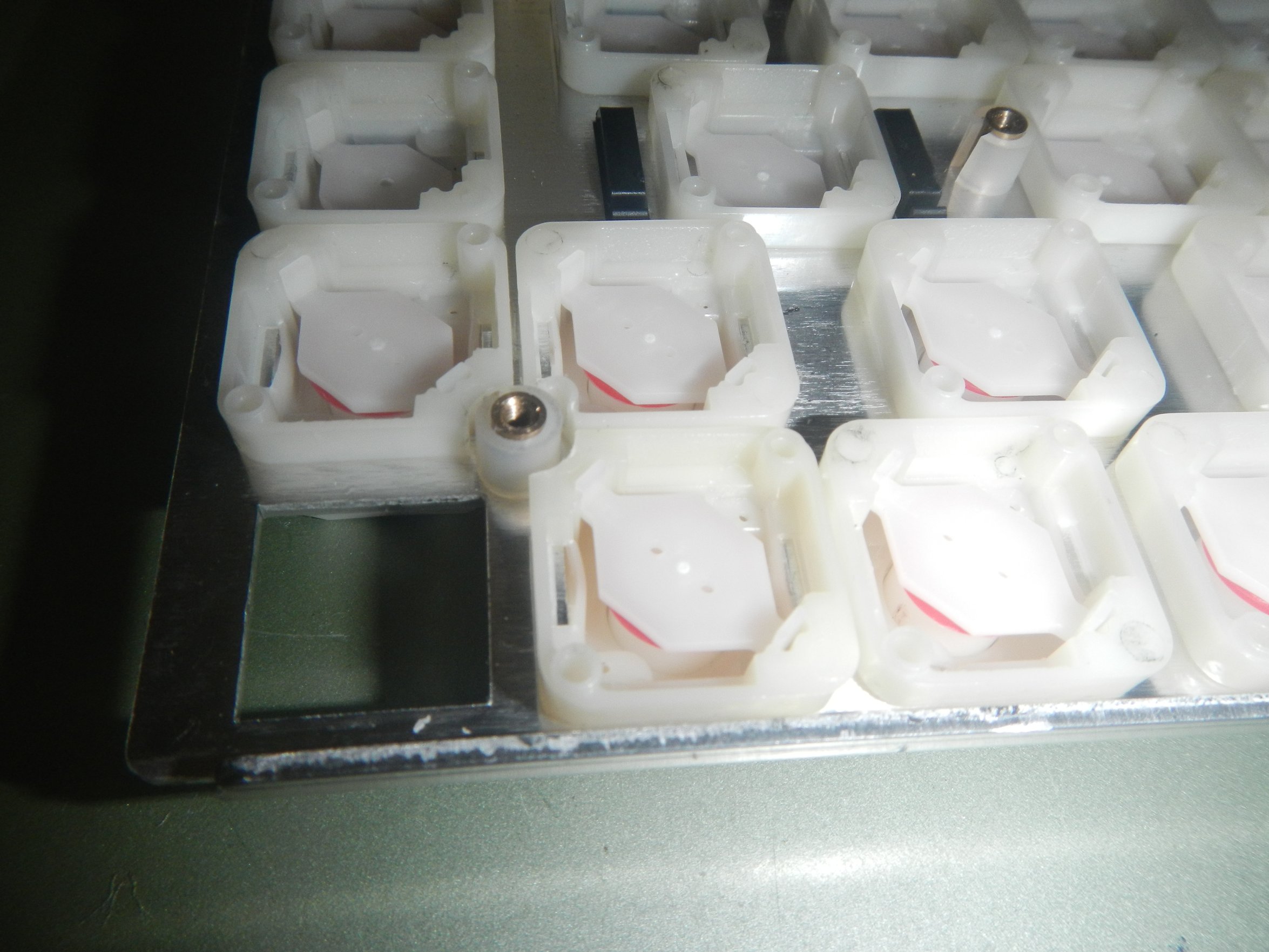 DSCN6191.JPG