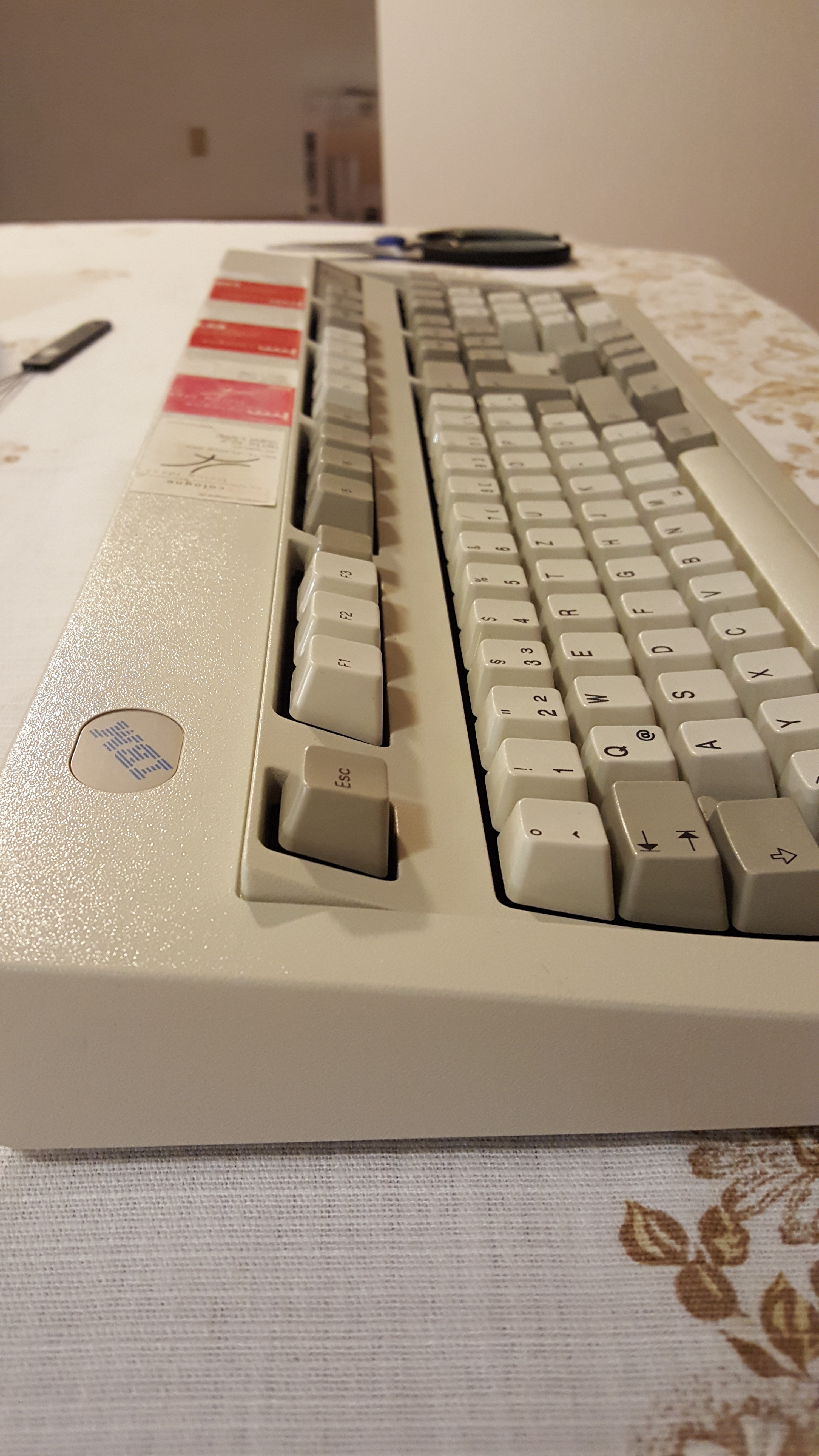 20170203_233137.jpg