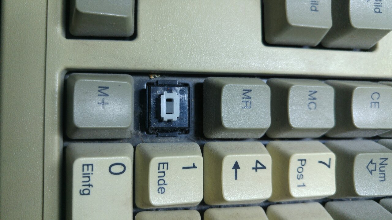 Image-97543706.jpg