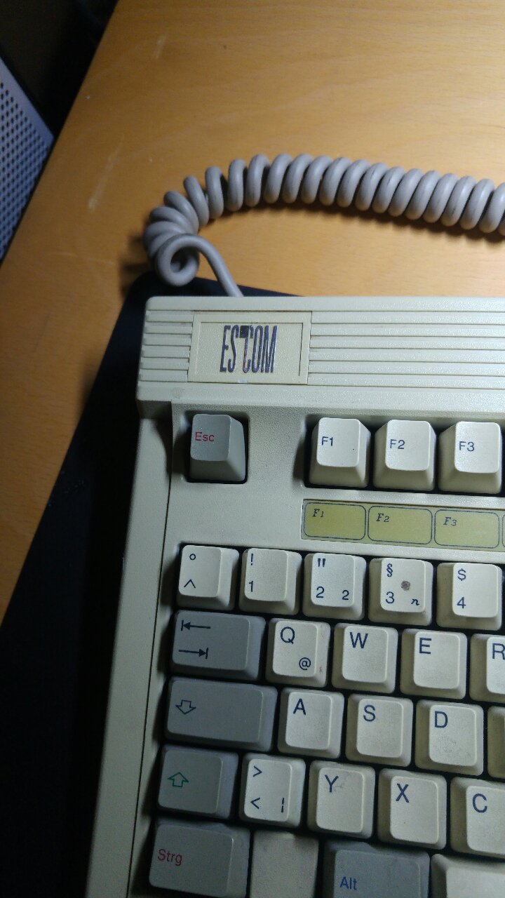 Image-1831229882.jpg