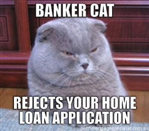 fatcat.jpg