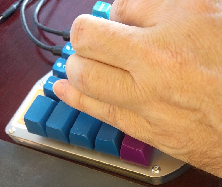 F-Layer(palm).jpg