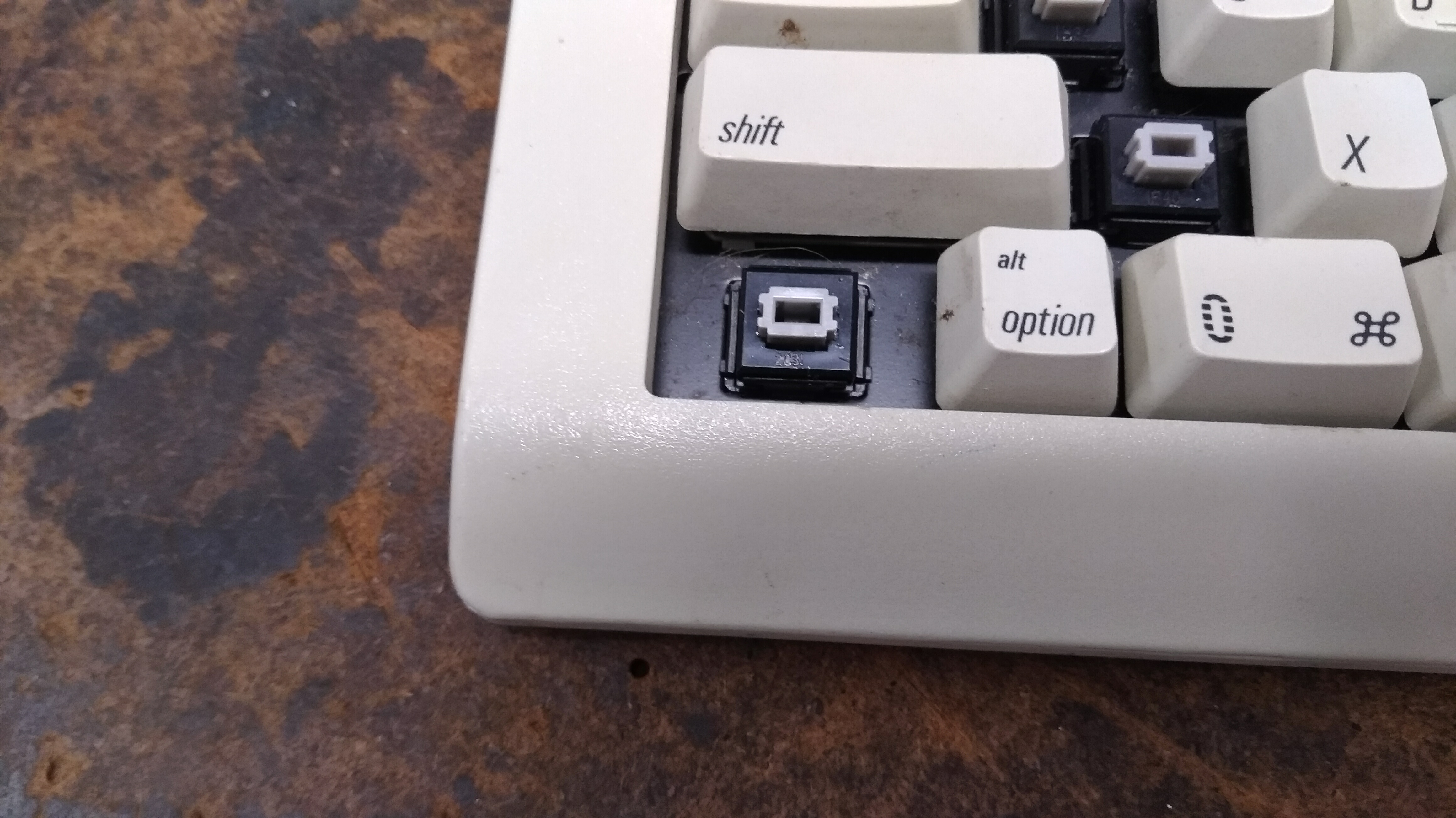 15592551839621147102538.jpg