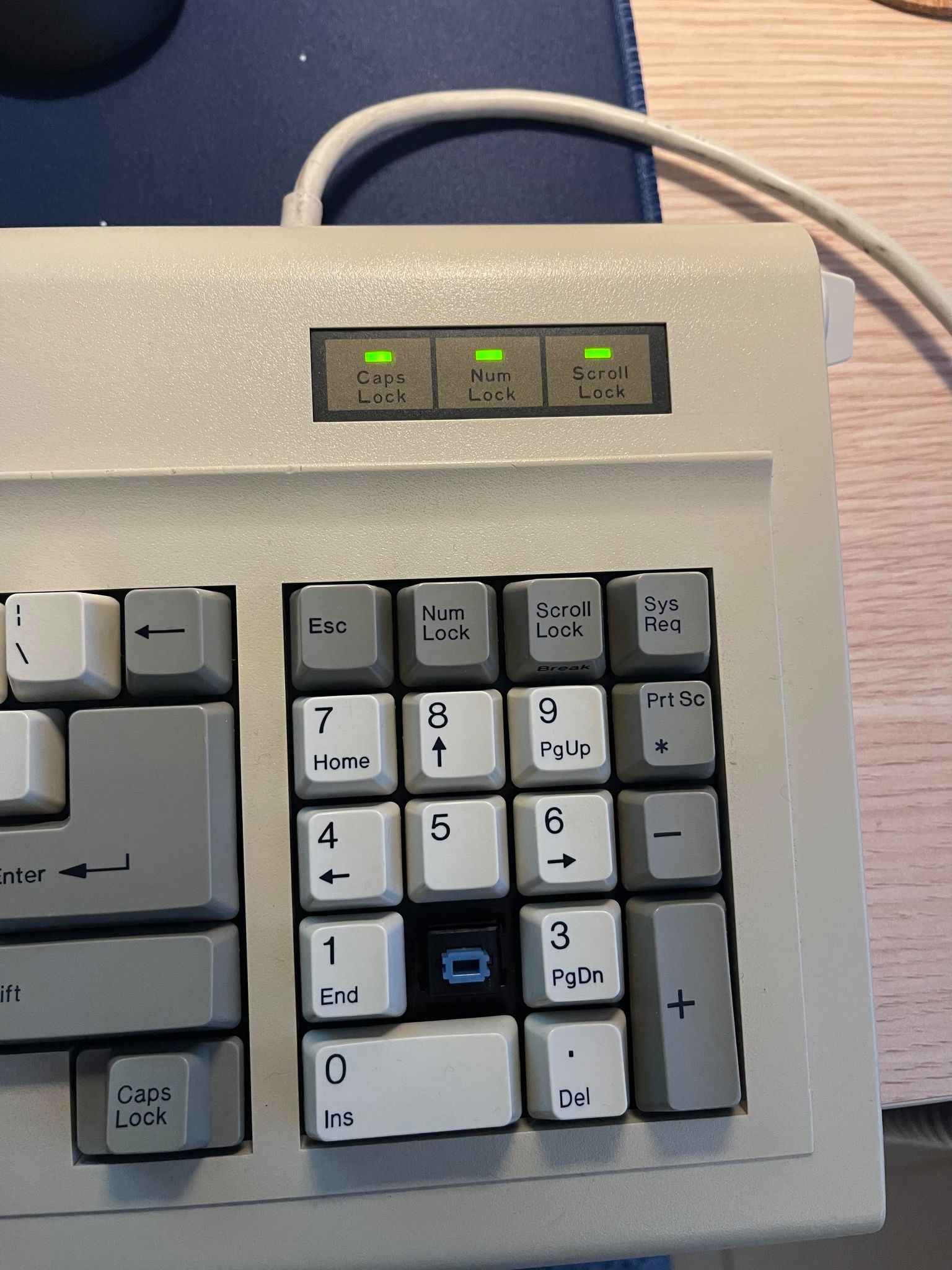 145284000_643079159771636_8723771726440960012_n.jpg