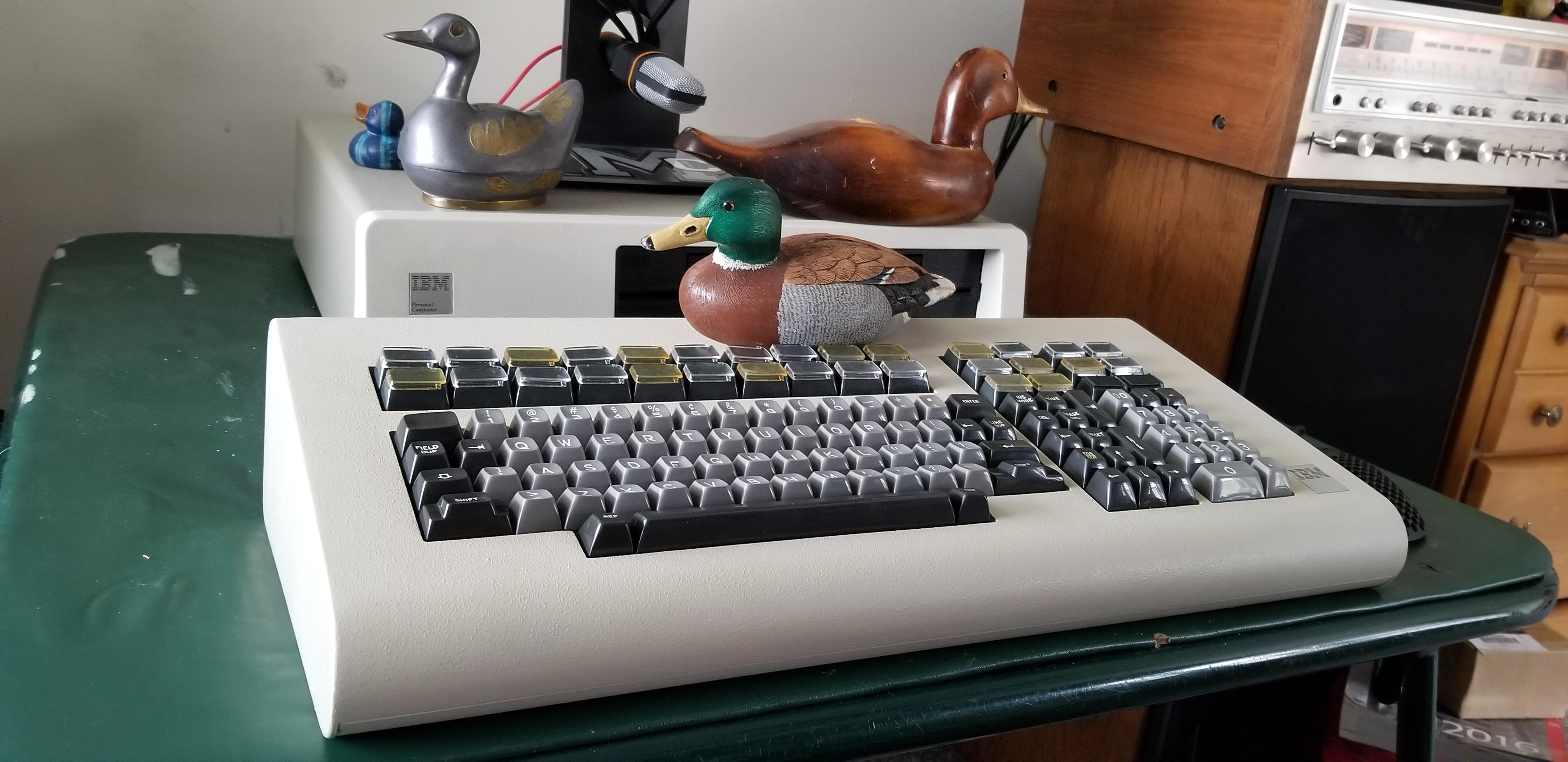 4978.jpg