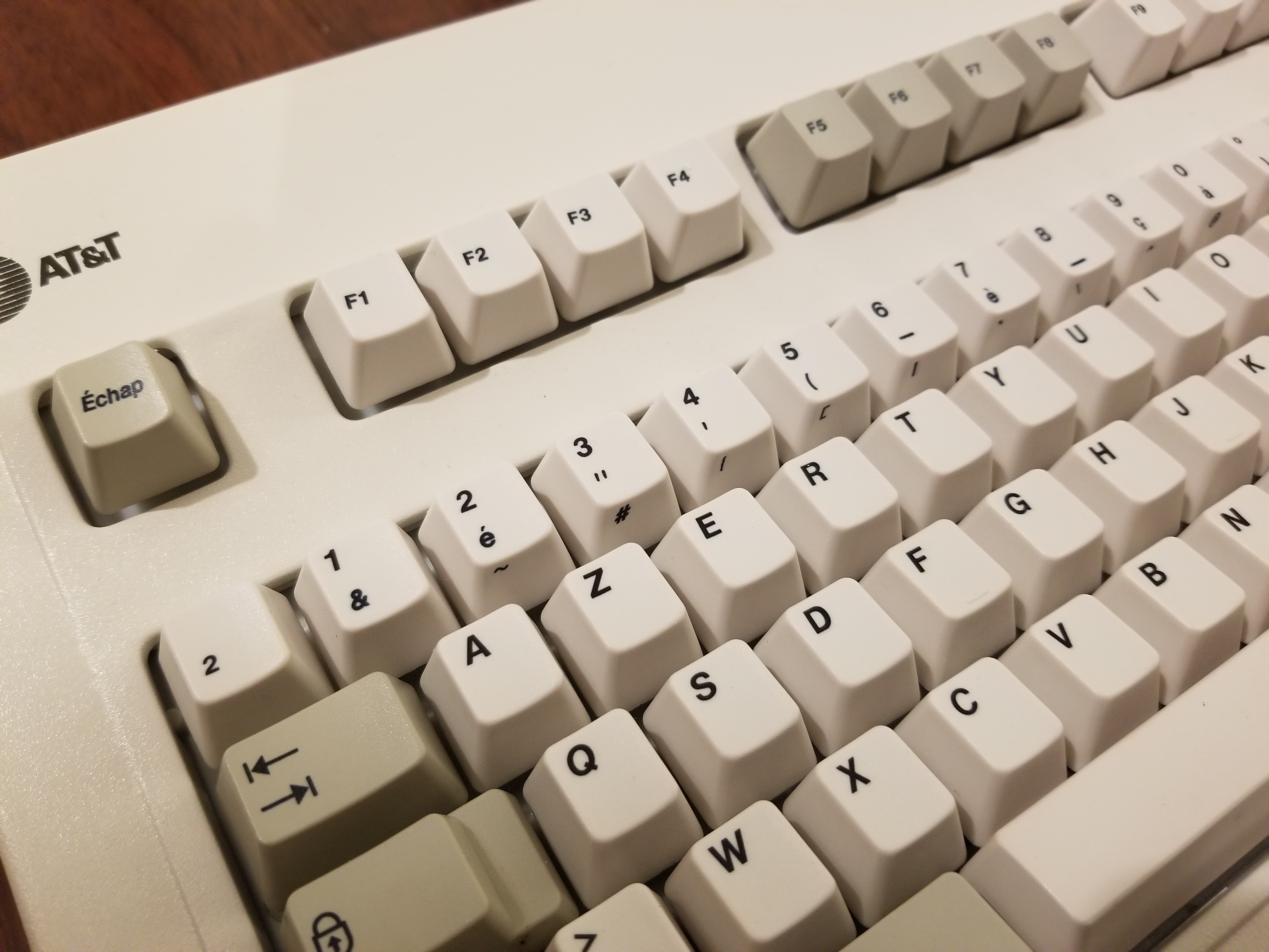 2021-08-10 16.17.46.jpg