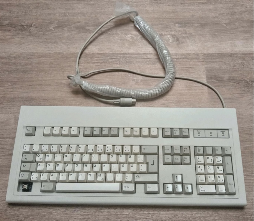 Cherry g81-1000 MY switches doubleshot abs