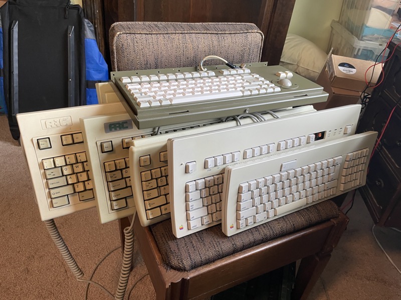 Collection Small Size.jpeg