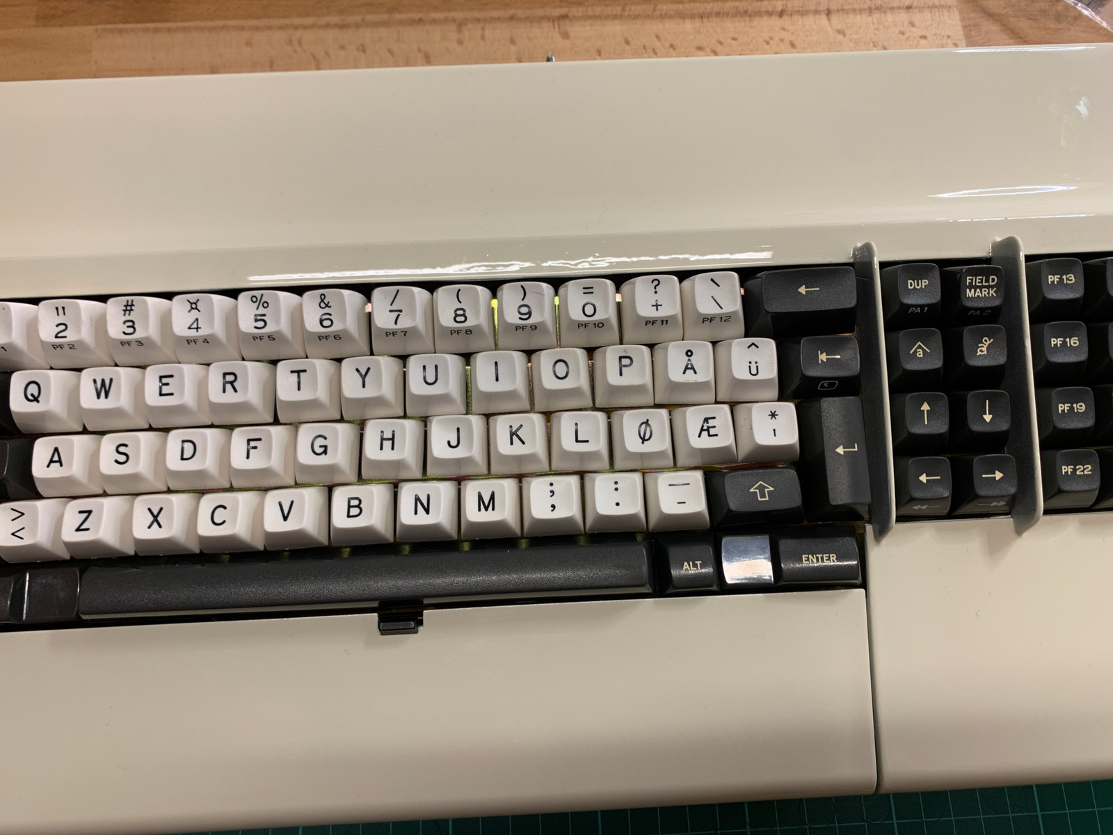 330_148275955.jpeg