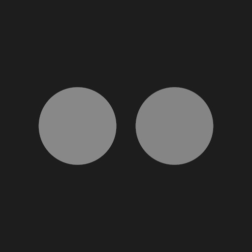flickr_logo.jpg