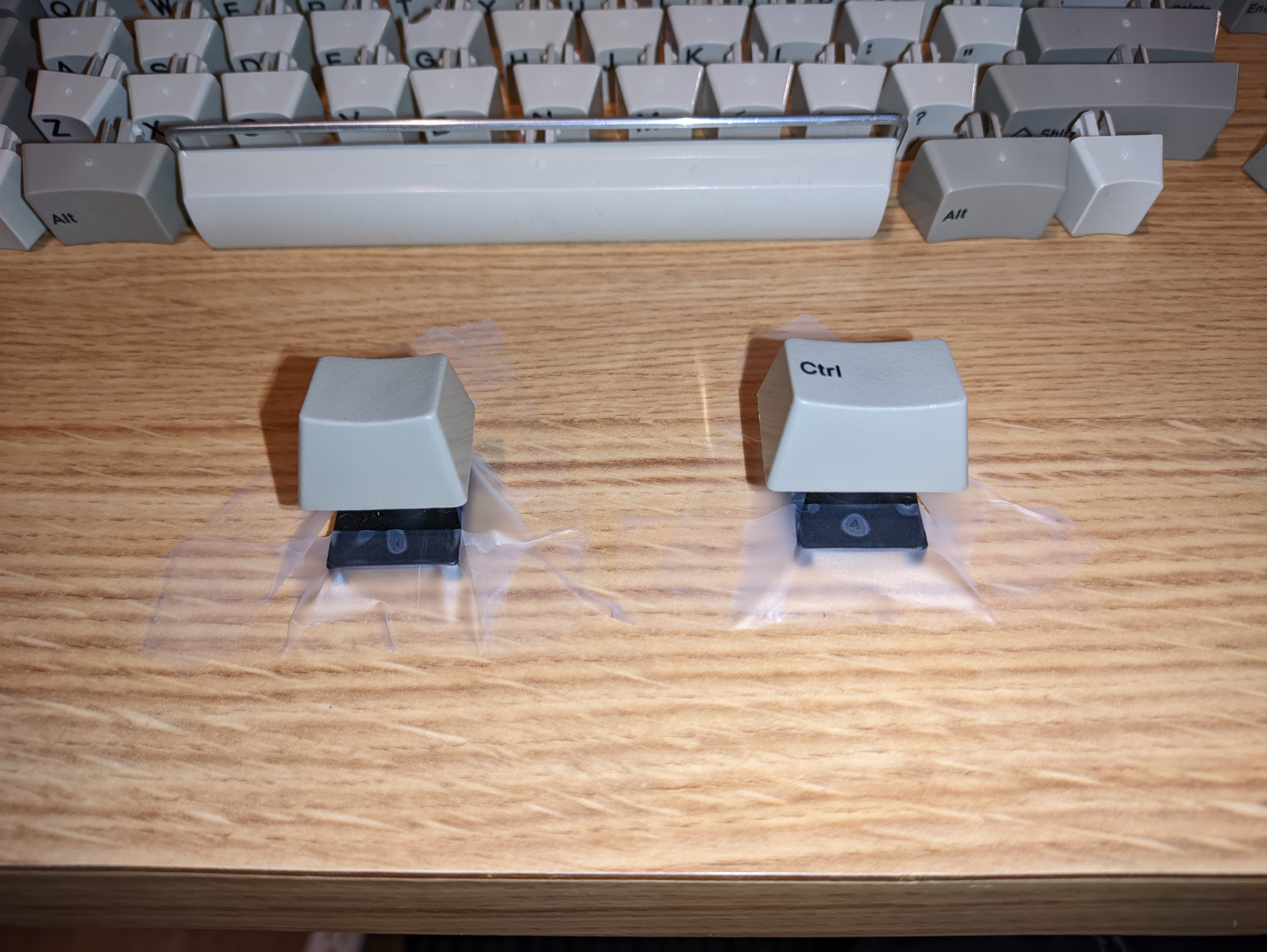 PXL_20250210_031317899.jpg