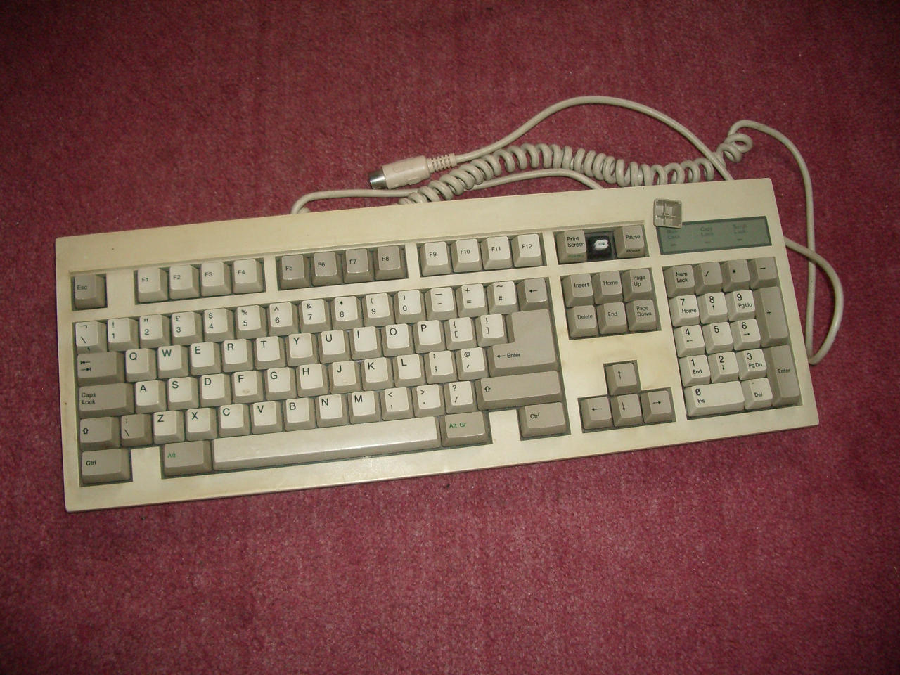 Nan Tan top.jpg