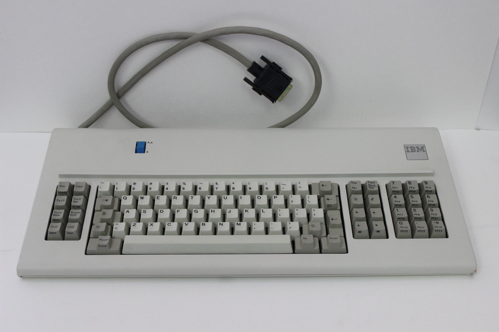 6052101.jpg