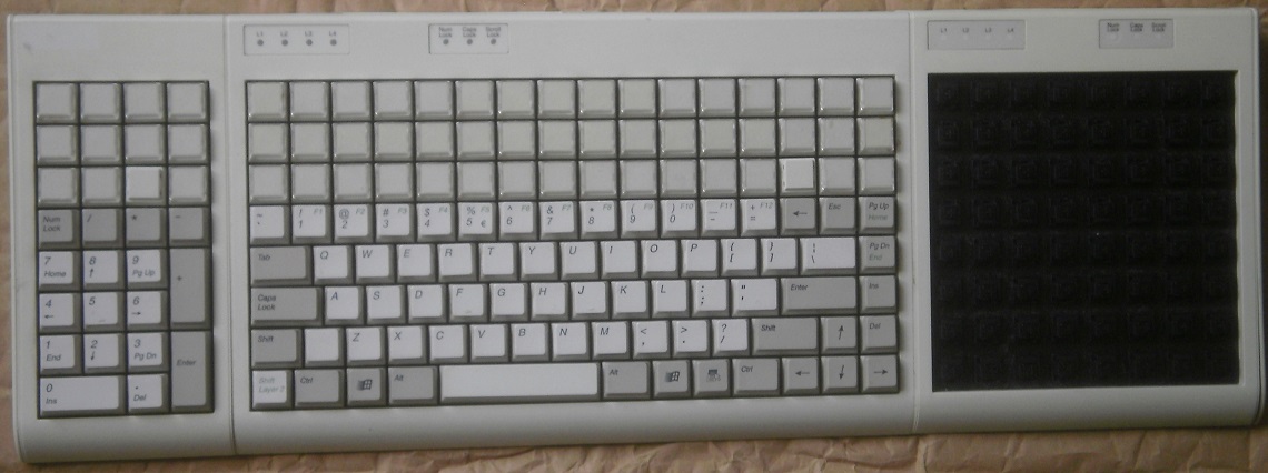 Billdee's Tipro.jpg