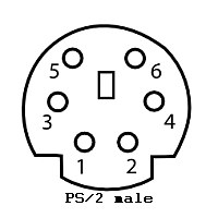 ps2maleconnector.jpg