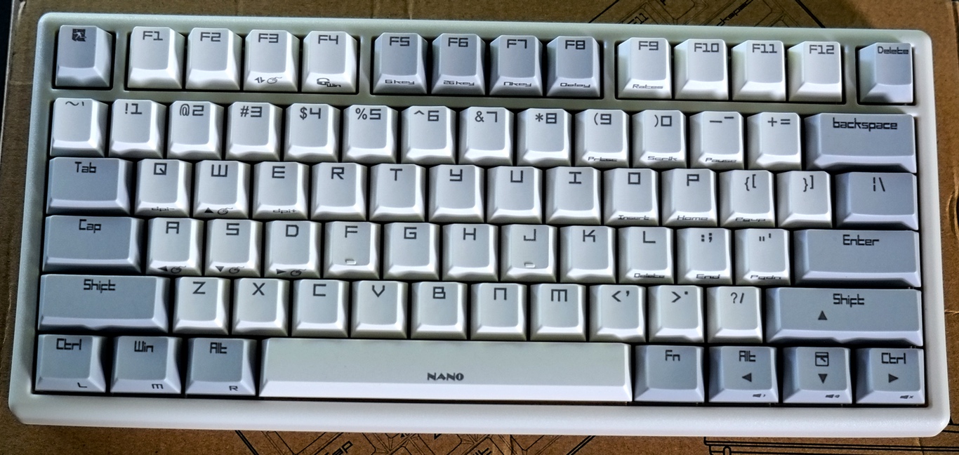 noppoo_2.jpeg