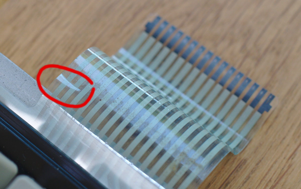 DSC_2900 - marked.jpg