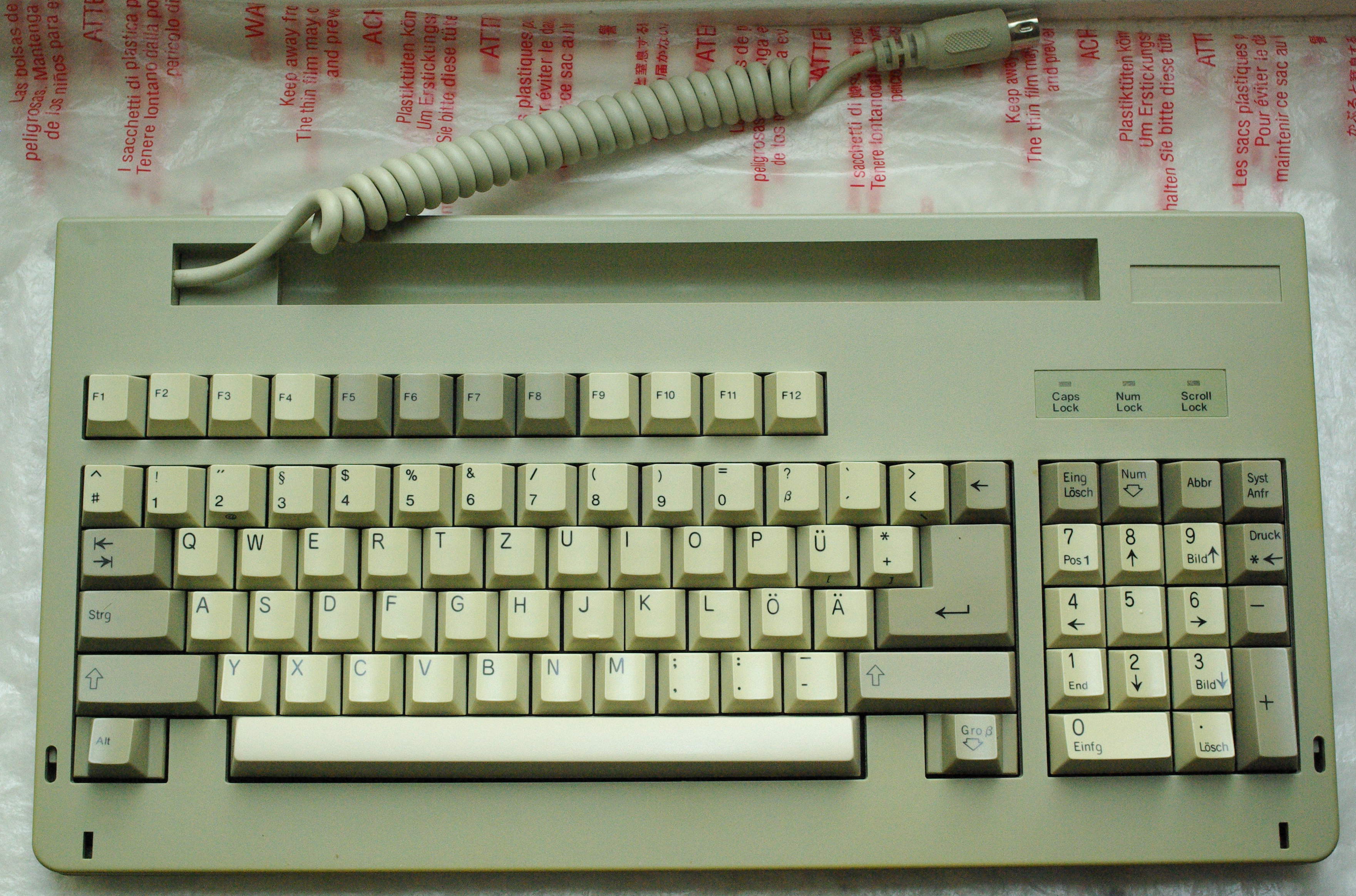 IMGP9848.JPG