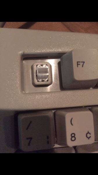 740169878_v1_8_Big.jpg