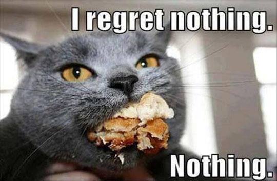 Cat-Eating-Cake-Meme.jpg
