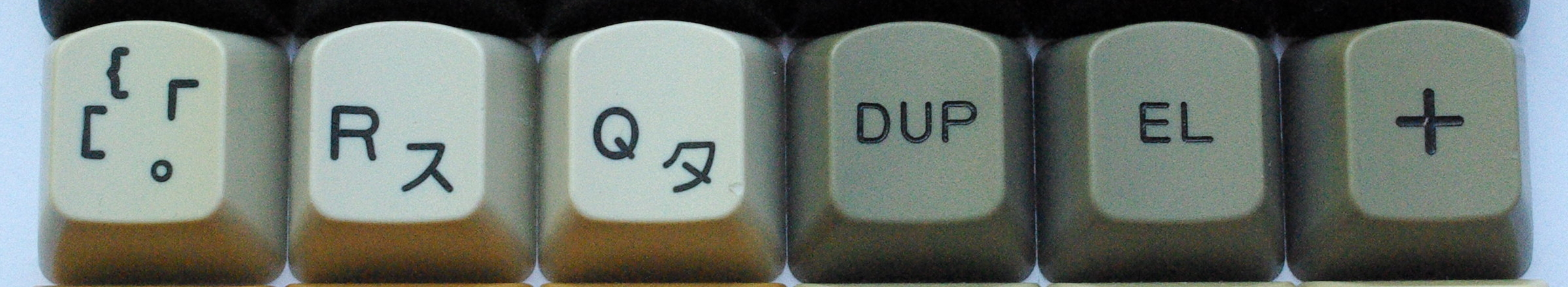 IMGP9041.JPG