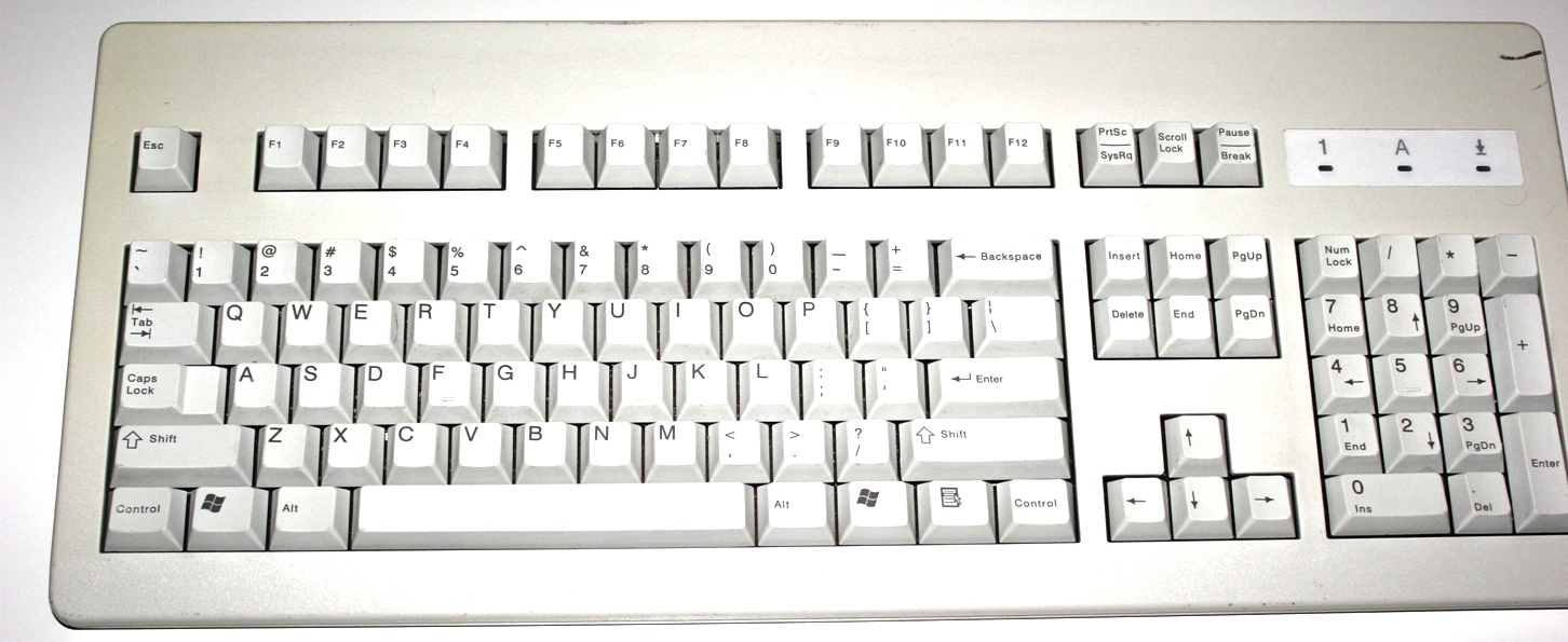 IMG_5324 white corr.jpg