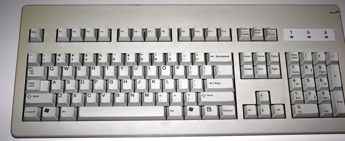 IMG_5324 auto corr.jpg