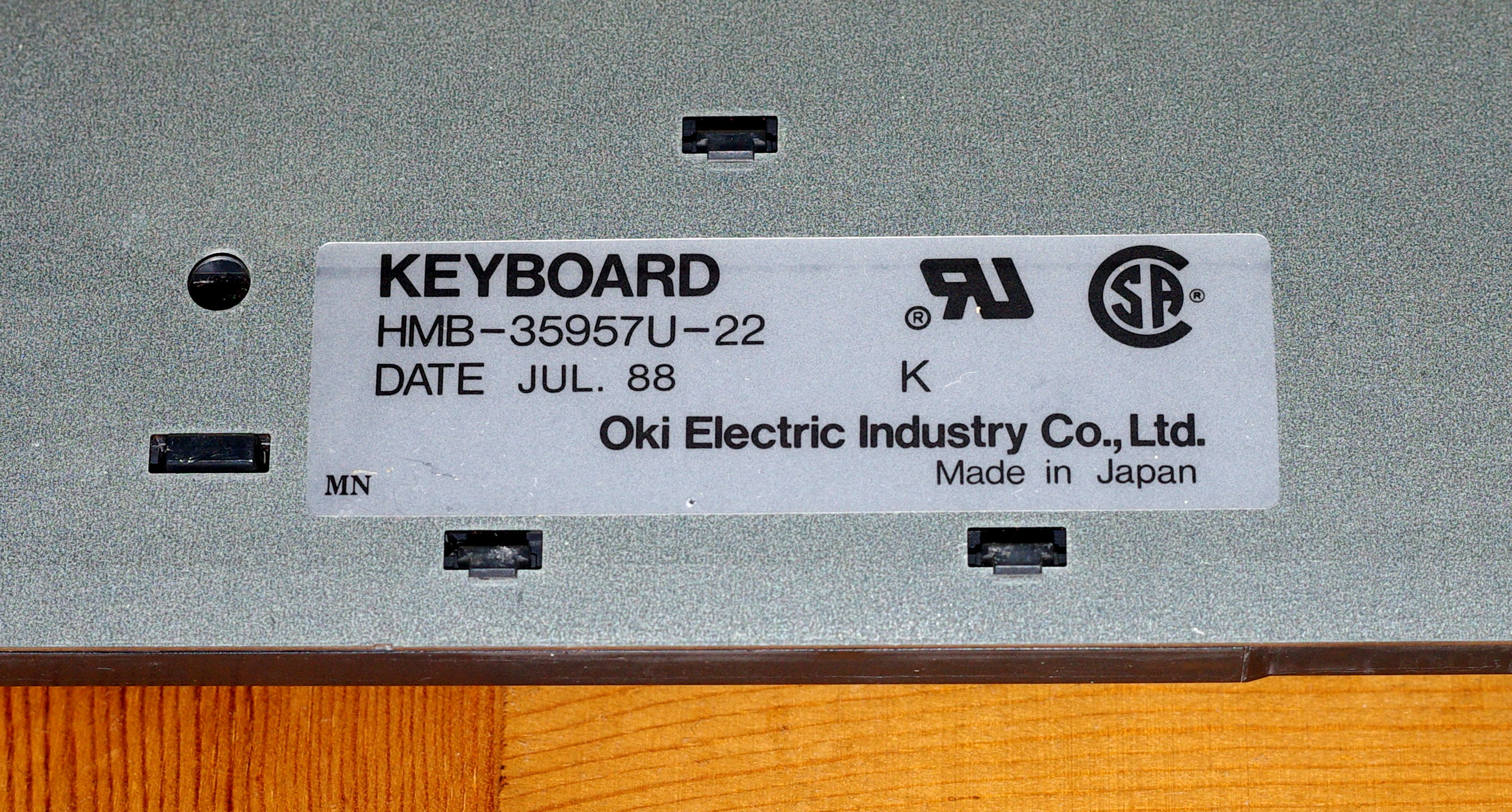 IMGP3962.JPG