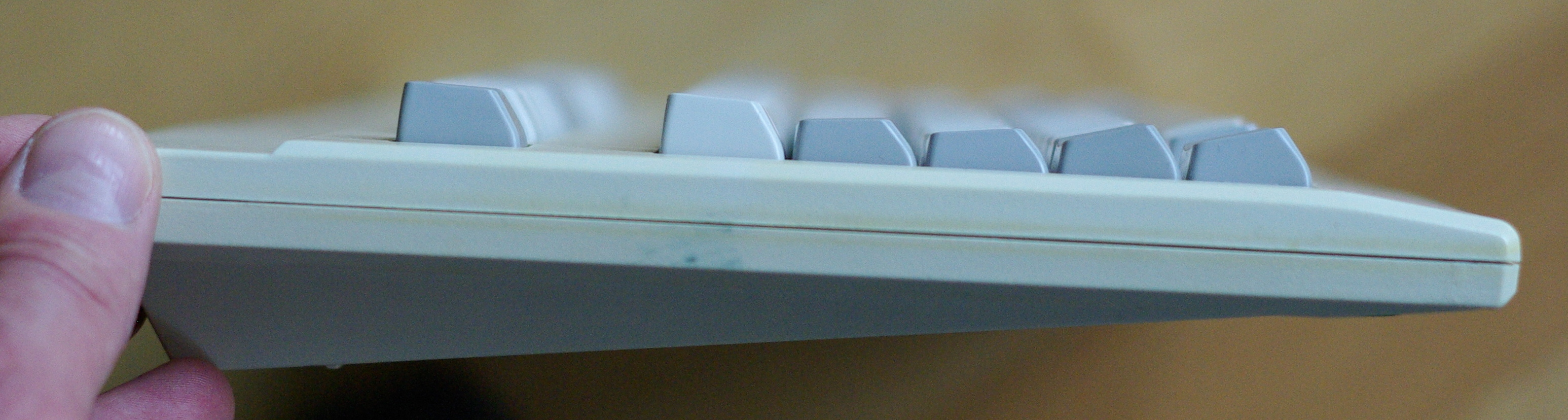 IMGP3978.JPG