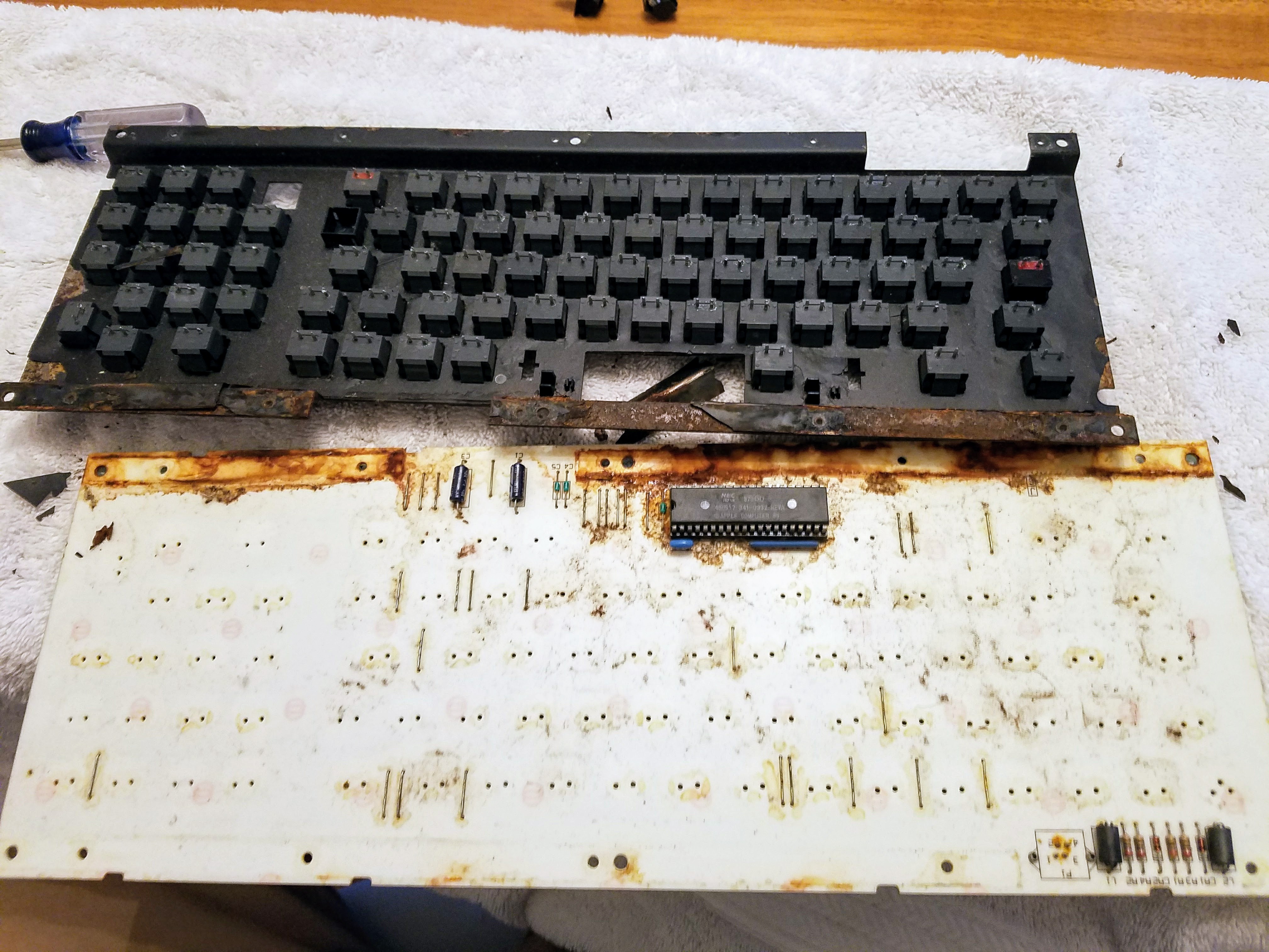 20170503_182742.jpg