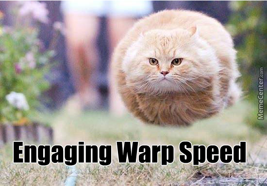 wrapo.jpg