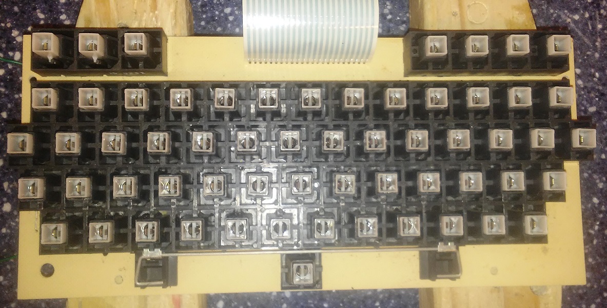 switches1_sm.jpg