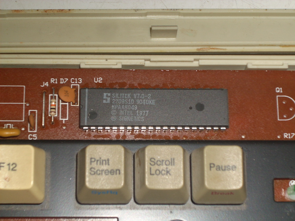 DSCN9888.JPG