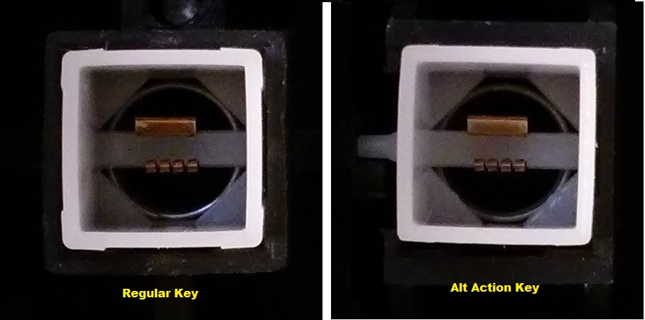 both_zoom.jpg