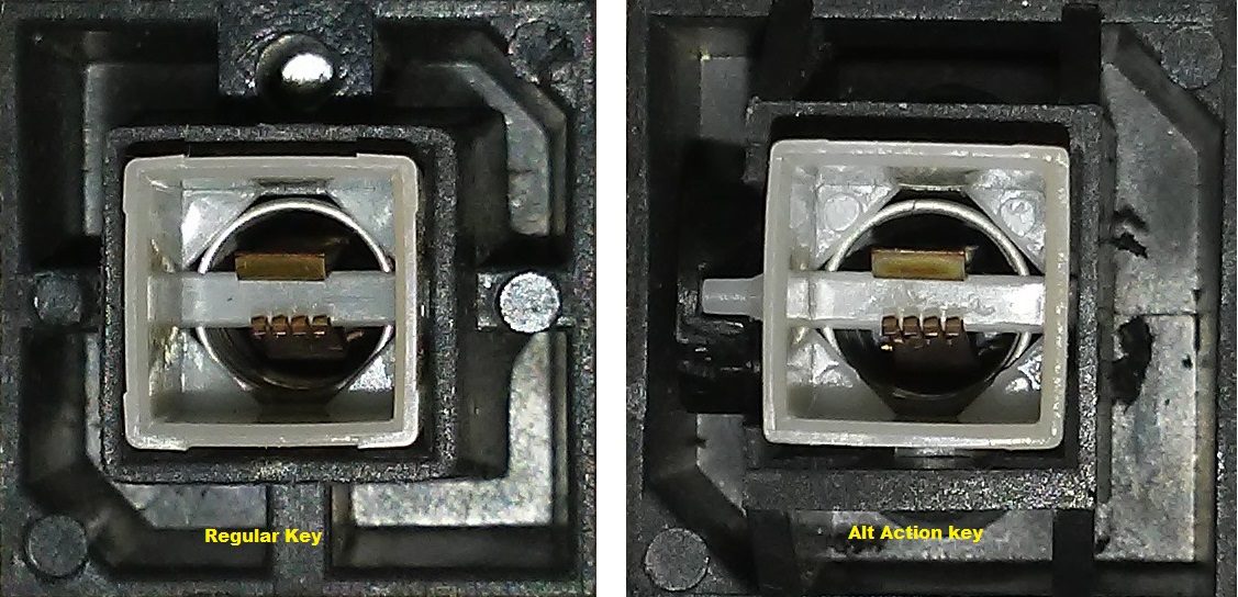 both_flash_zoom.jpg