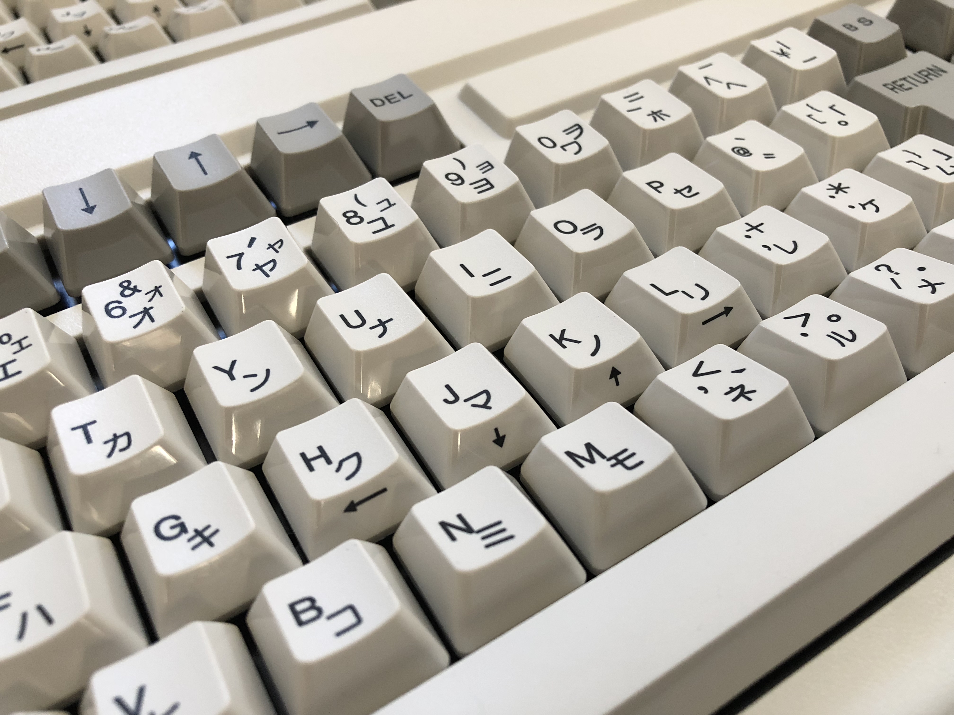 Photo 25-9-18, 5 04 20 pm.jpg